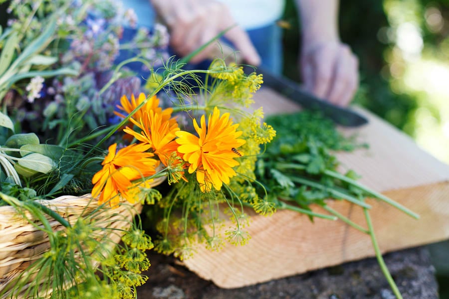 Прочистване на организма от паразити без лекарства.
