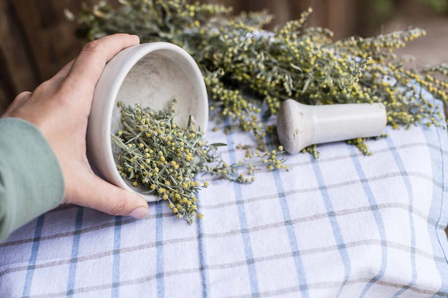 Прочистване на организма от паразити без лекарства.