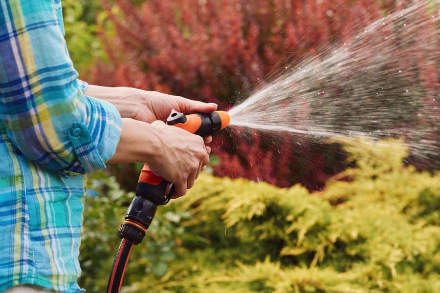 Как да направим алпинеум в двора – идеи, растения и камъни 7 Поддръжка на скалната градина