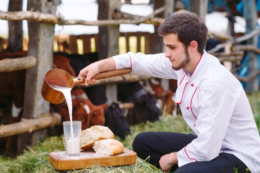 Сурово мляко - какви са рисковете? 12 сурово мляко, мляко