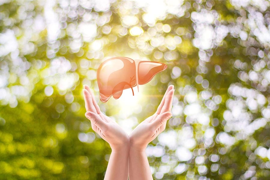 Юпитер и метаболизмът, черен дроб.