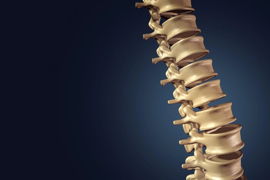 Най-добрите упражнения за болки в кръста, които помагат 5 Упражнениа за гръбначен стълб