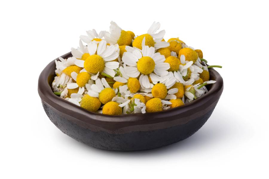 билки за язва