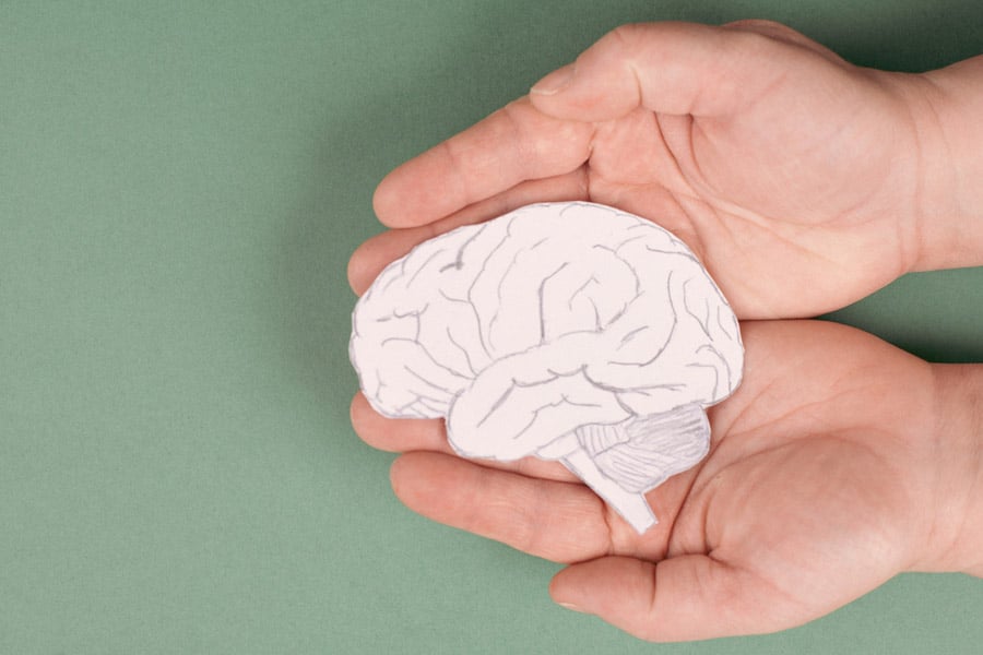 Хипофиза и хипоталамус