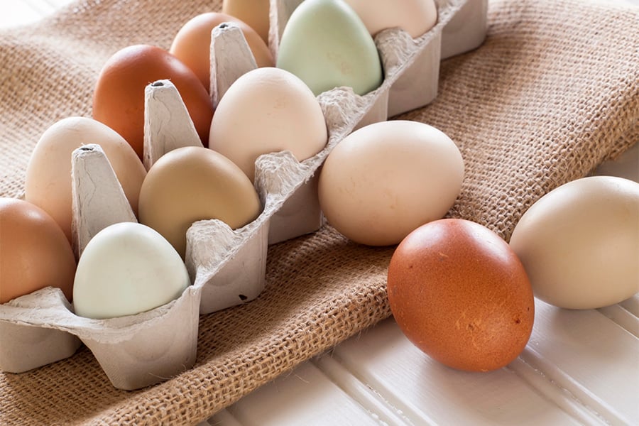 биологична стойност