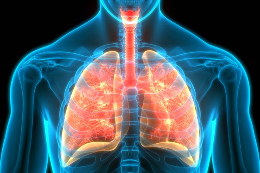 пулмология