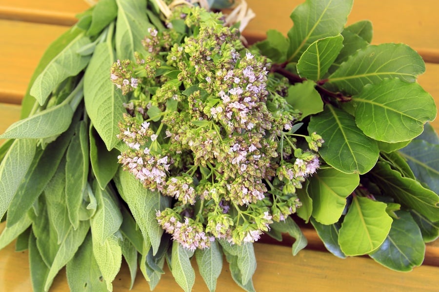 Билки при гъста кръв