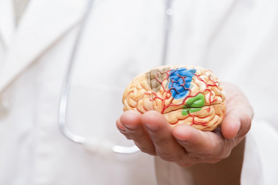 Хипофиза - къде се намира и какви са нейните функции? 20 Хипофиза.