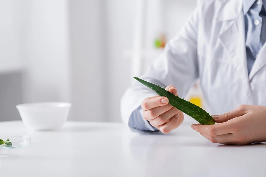 Билки за разхлабване - естествени или опасни? 9 bilki za razhlabvane estestveni ili opasni