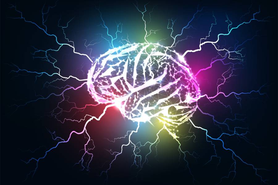 невропластичност