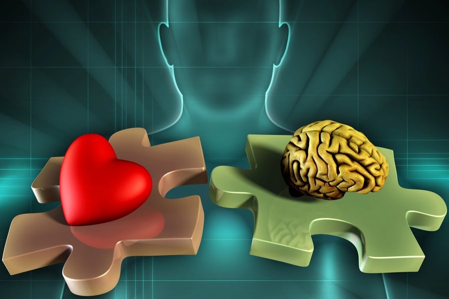 Сърце и мозък работят заедно