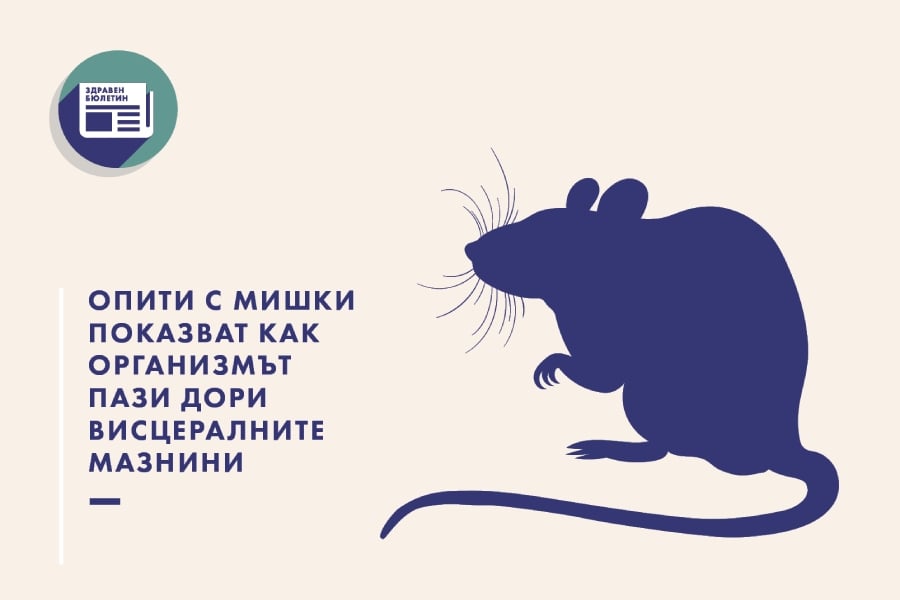 Саботира ли ни имунната система, Здравен бюлетин