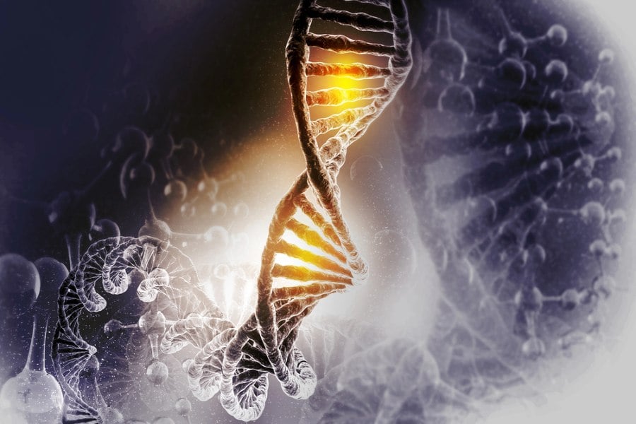 Саботира ли ни имунната система, ДНК