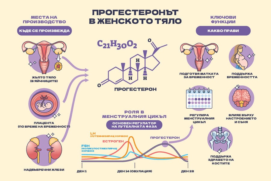 Висок прогестерон и отслабване: Защо кантарът спира да се движи? 9 Прогестеронът в женското тяло - илюстрация