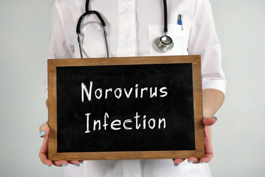 Норовирус: Защо е толкова заразен и как се разпространява? 16 Норовирус, Norovirus